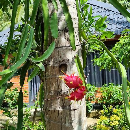 Homestay Nam Ham Luong Ben Tre Экстерьер фото